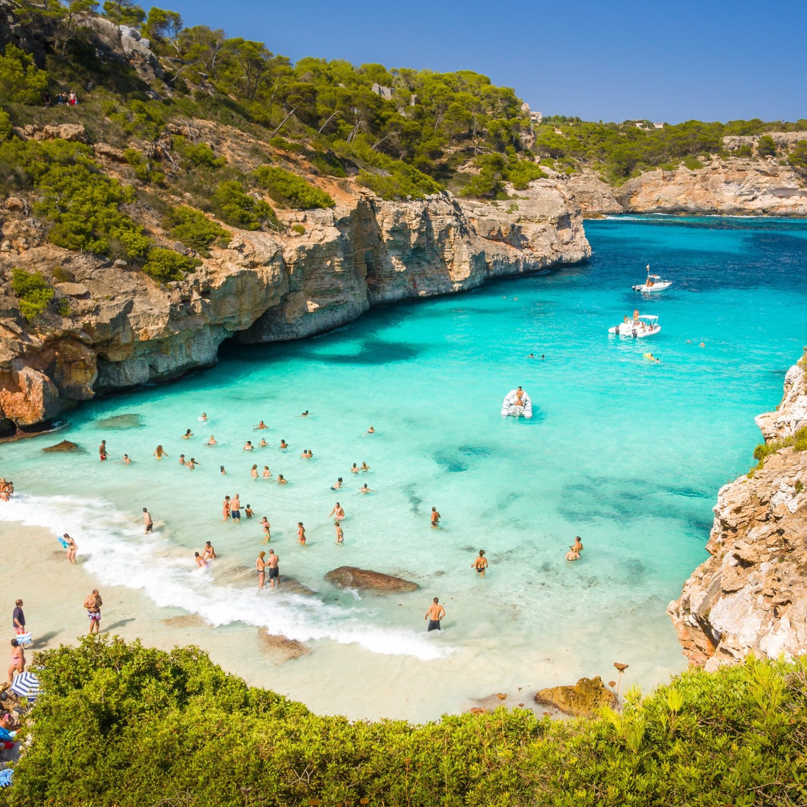 Transfer a Caló des Moro